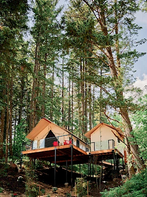 Two elevated cabins with triangular roofs are nestled among tall trees in a forest, featuring a wooden deck and natural surroundings.