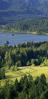 A lush landscape with dense forests, a large building, a river, and a bridge against a backdrop of mountains.