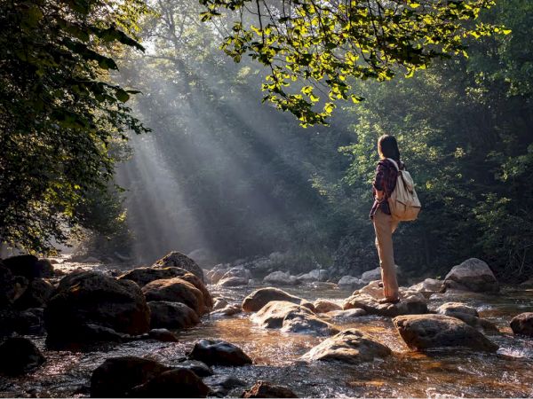 A person standing on rocks in a sunlit forest stream, surrounded by trees, with light rays filtering through the foliage.