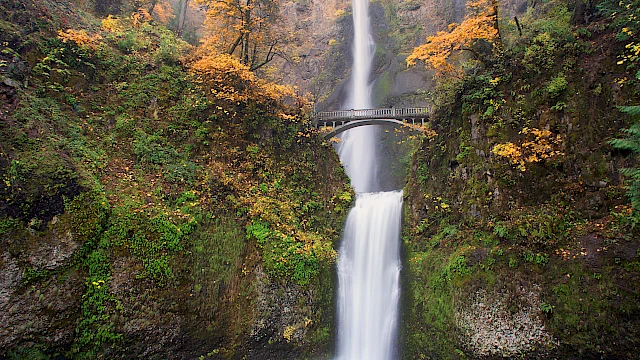 A scenic waterfall with a bridge, surrounded by lush greenery and autumn trees, descends into a tranquil pool below.